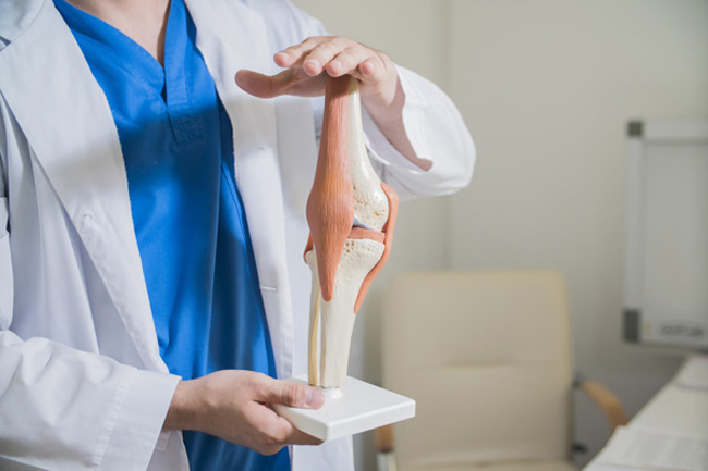 膝関節について説明する医師